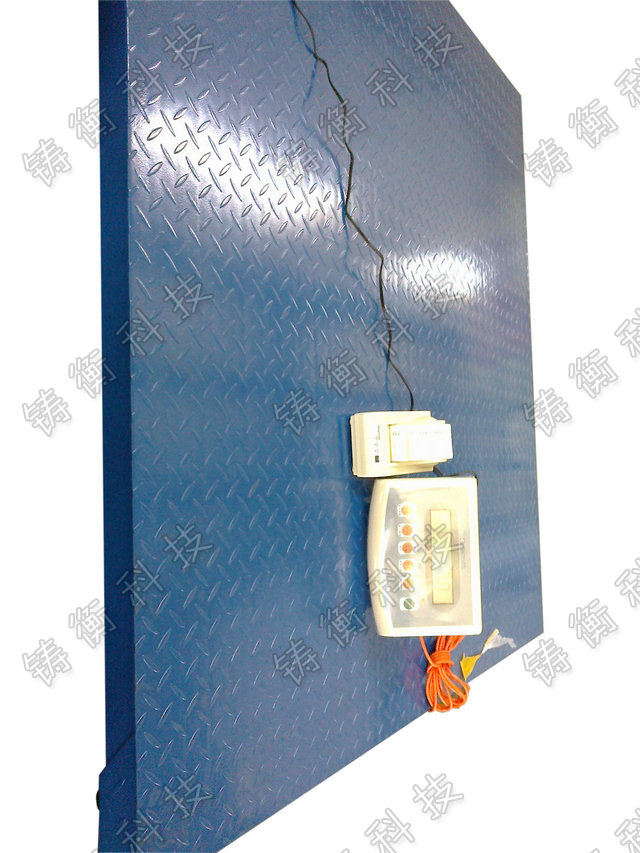 電子平臺(tái)秤